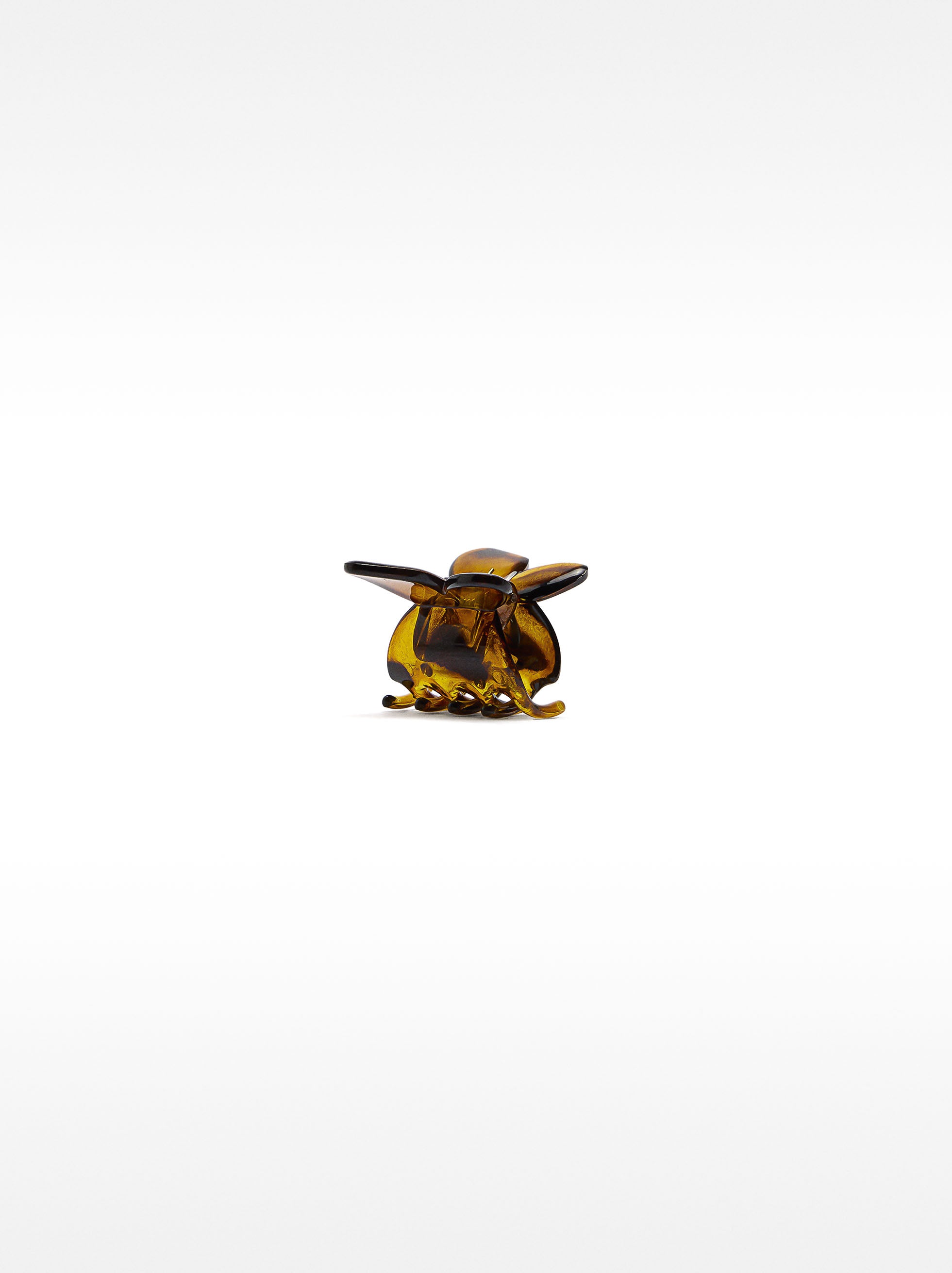 Gancho De Pelo Tortoise