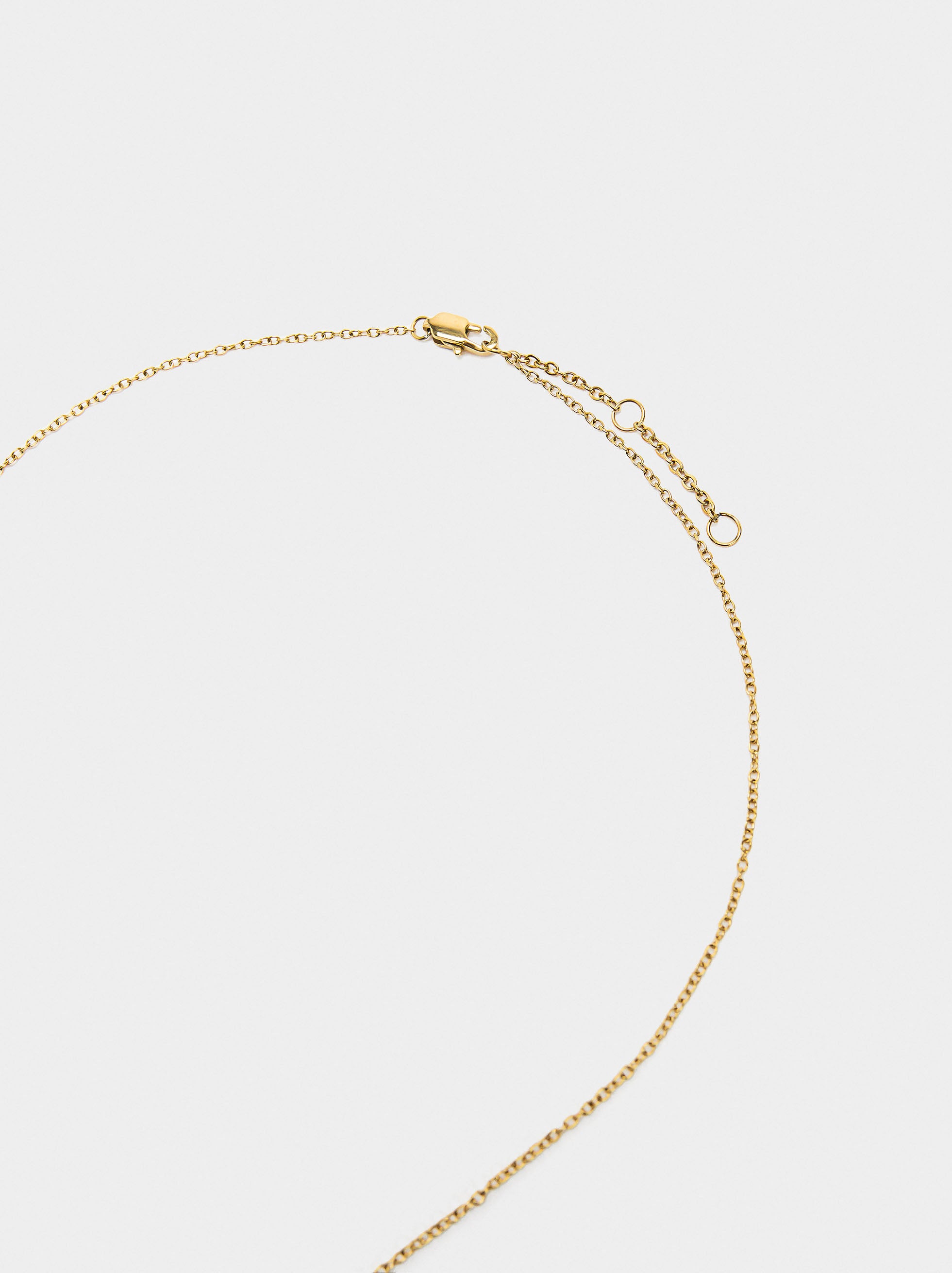 Collar Con Trébol - Acero Inoxidable