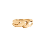 Anillo Doble Entrelazado