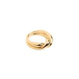 Anillo Doble Entrelazado