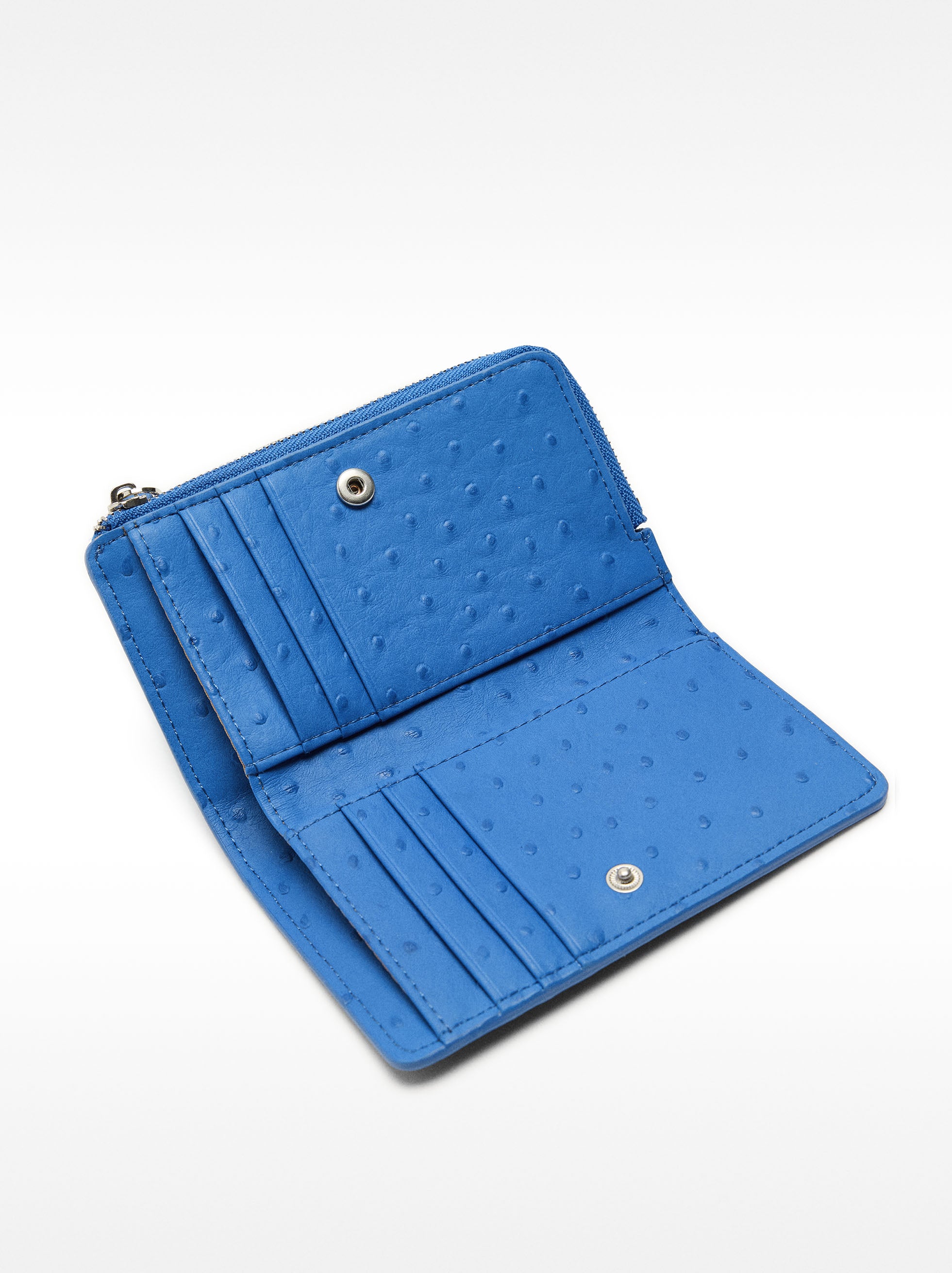 Cartera Con Grabado Animal