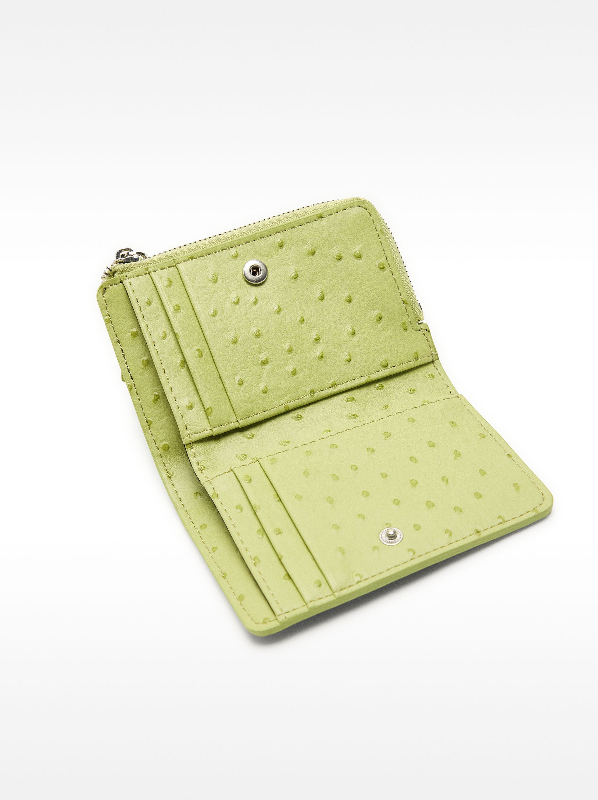 Cartera Con Grabado Animal