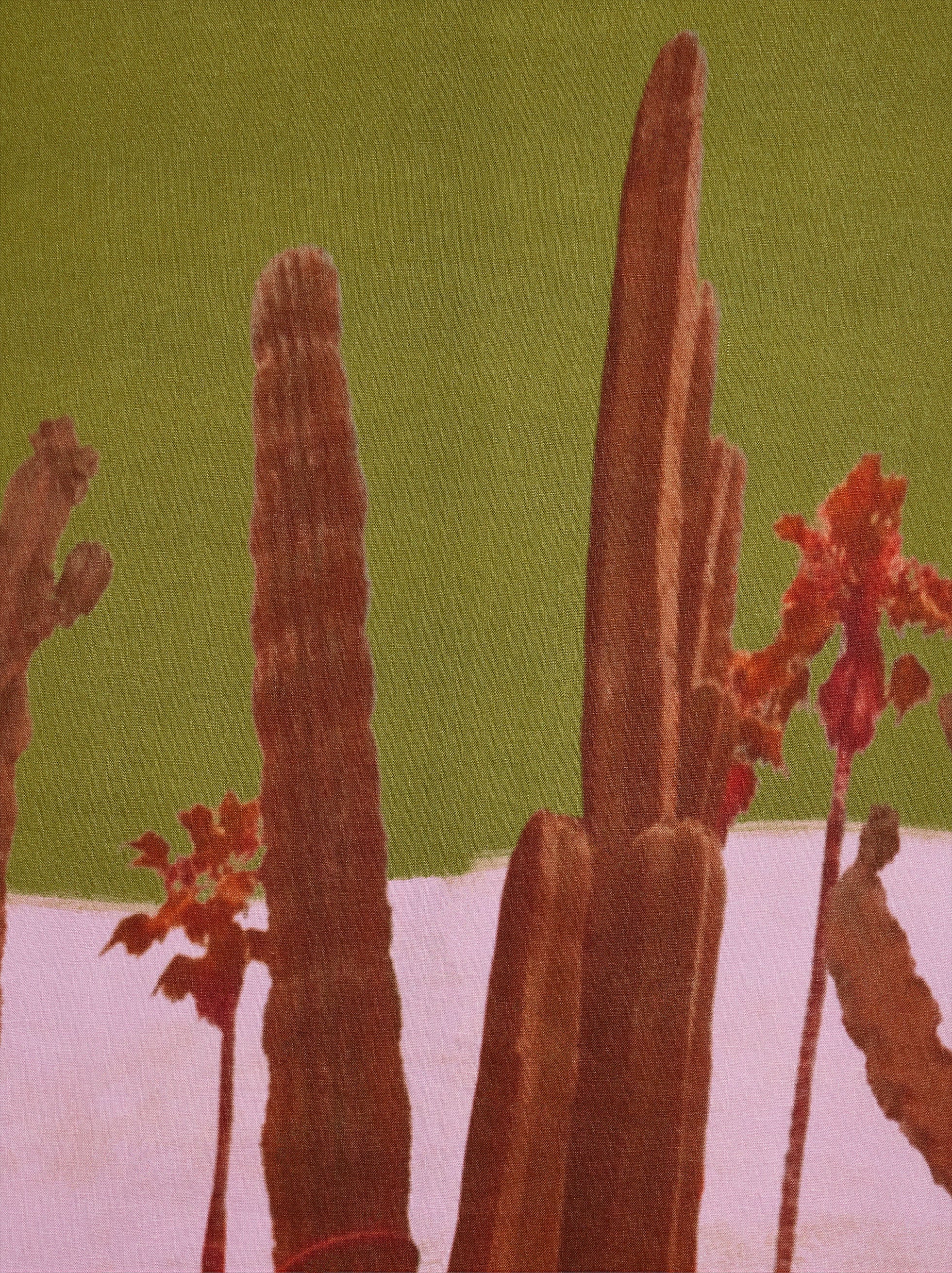 Falda 100 % Lino Con Estampado