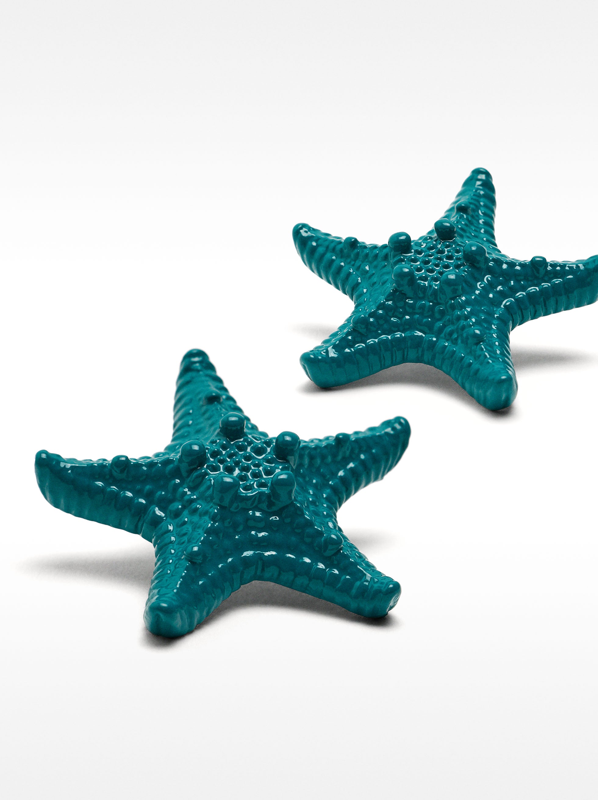 Aretes De Estrellas De Mar