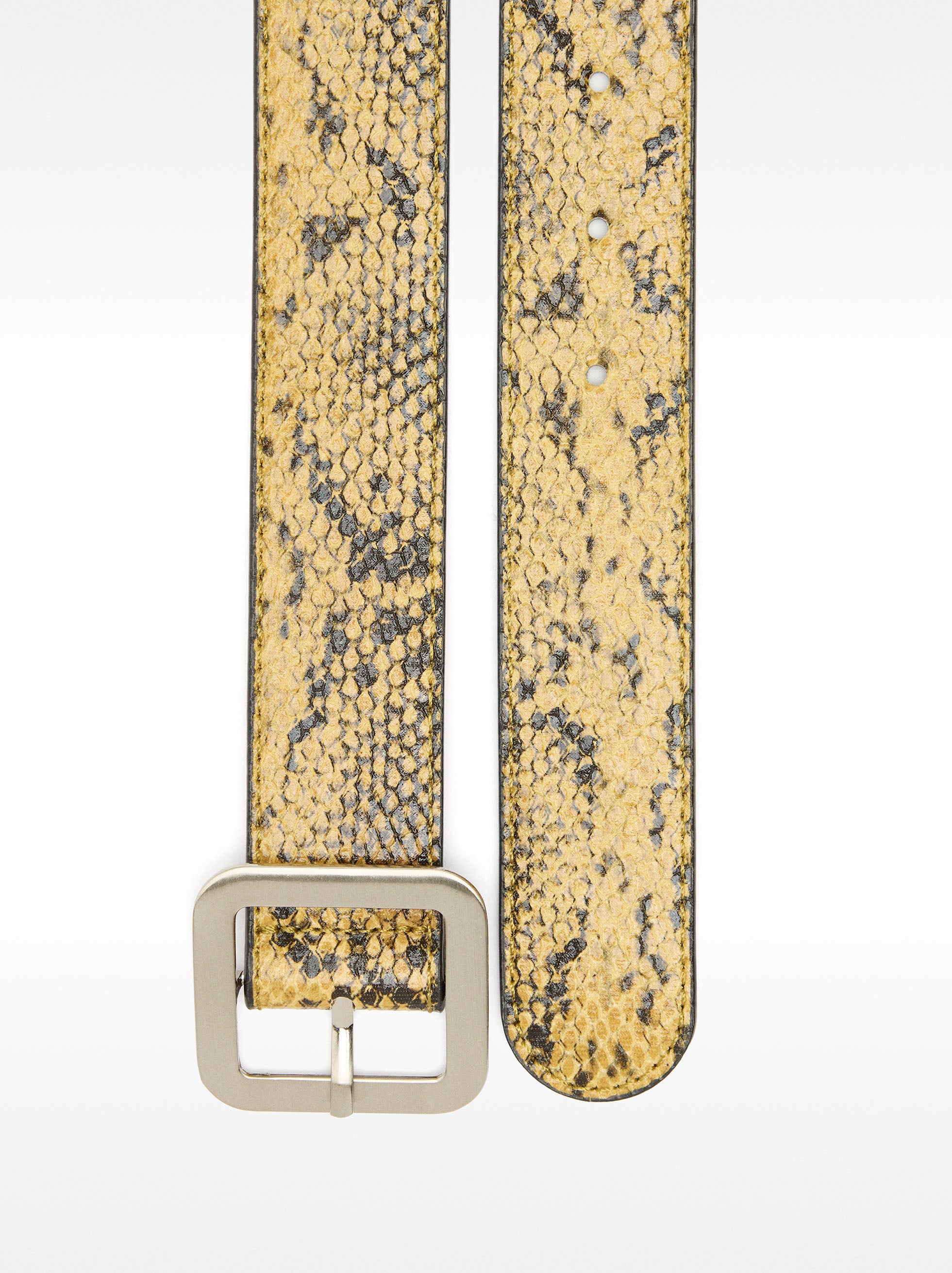 Cinturón Estampado Animal