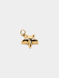 Charm De Estrella - Acero Inoxidable