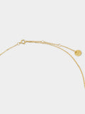 Collar Signo Del Zodíaco Capricornio - Plata De Ley 925