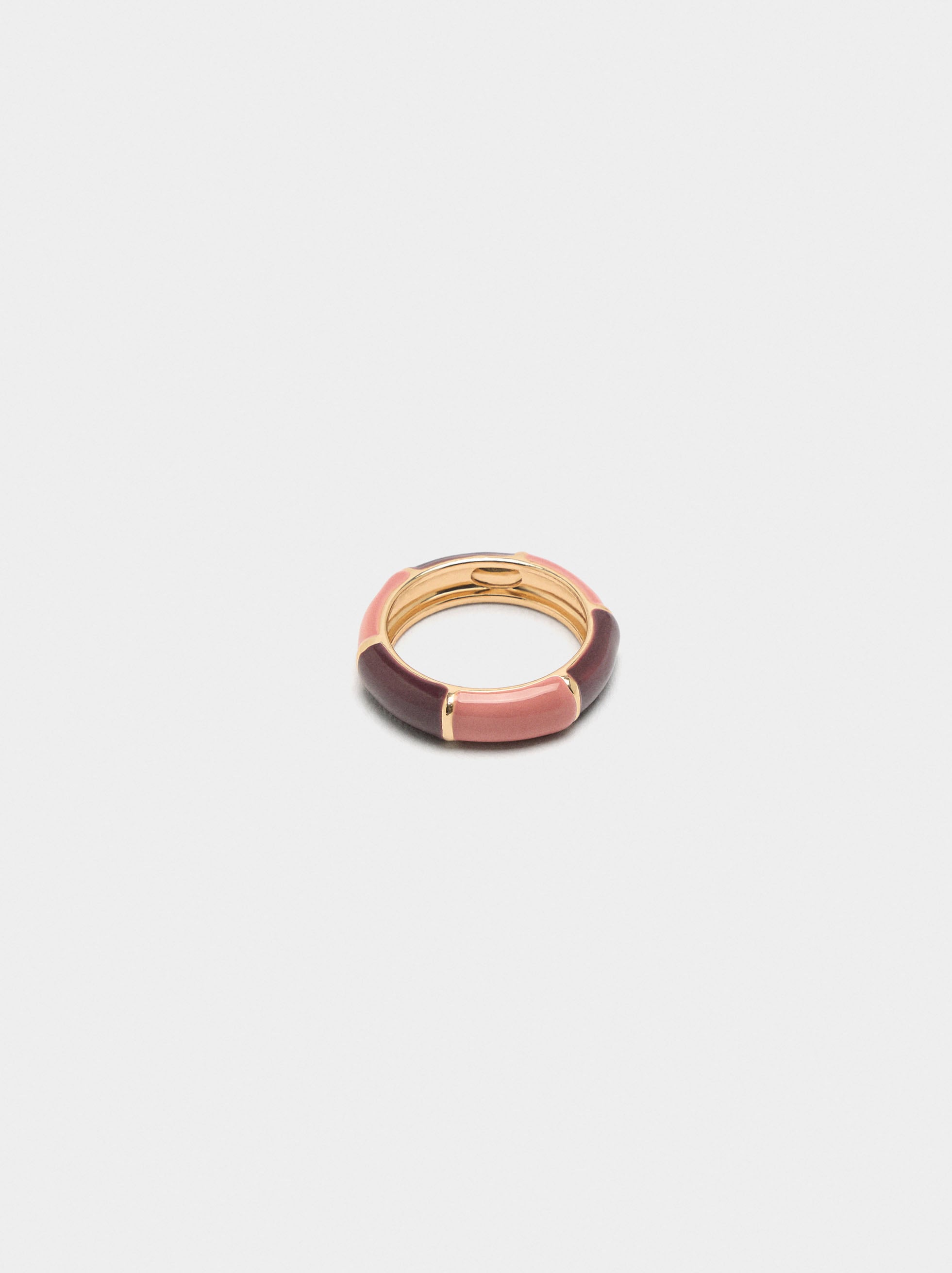 Anillo Segmentado Con Esmalte