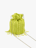 Bolso De Fiesta De Cuentas Y Flecos