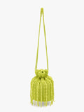 Bolso De Fiesta De Cuentas Y Flecos